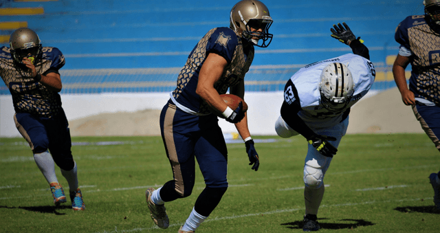 professionals.players.label